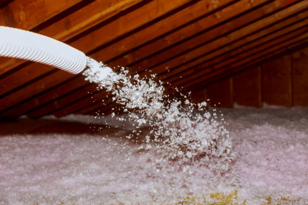 Best Professional Insulation Contractor  in Minden, NE