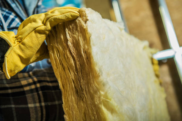 Best Wall Insulation Contractor  in Minden, NE