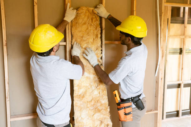 Best Local Insulation Services  in Minden, NE