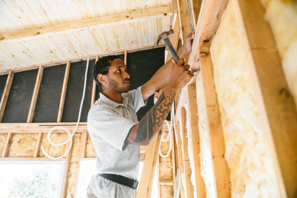 Best Insulation Repair Services  in Minden, NE