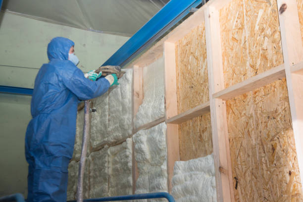 Best Spray Foam Insulation  in Minden, NE