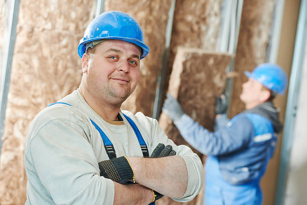 Best Energy-efficient Insulation  in Minden, NE