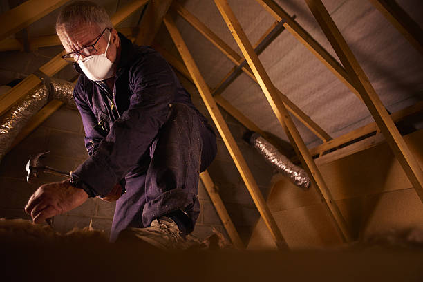 Best Insulation Replacement Services  in Minden, NE