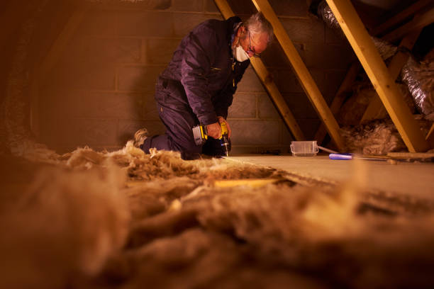 Best Affordable Insulation Services  in Minden, NE